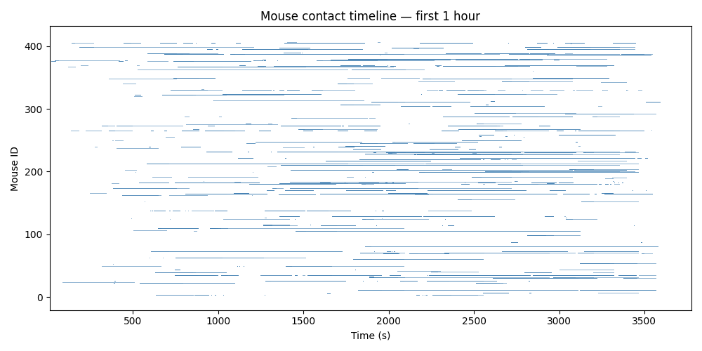 Mouse contact timeline — first 1 hour